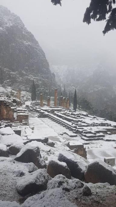 Apartamento 'Ηδιστον,Delfos Exterior foto